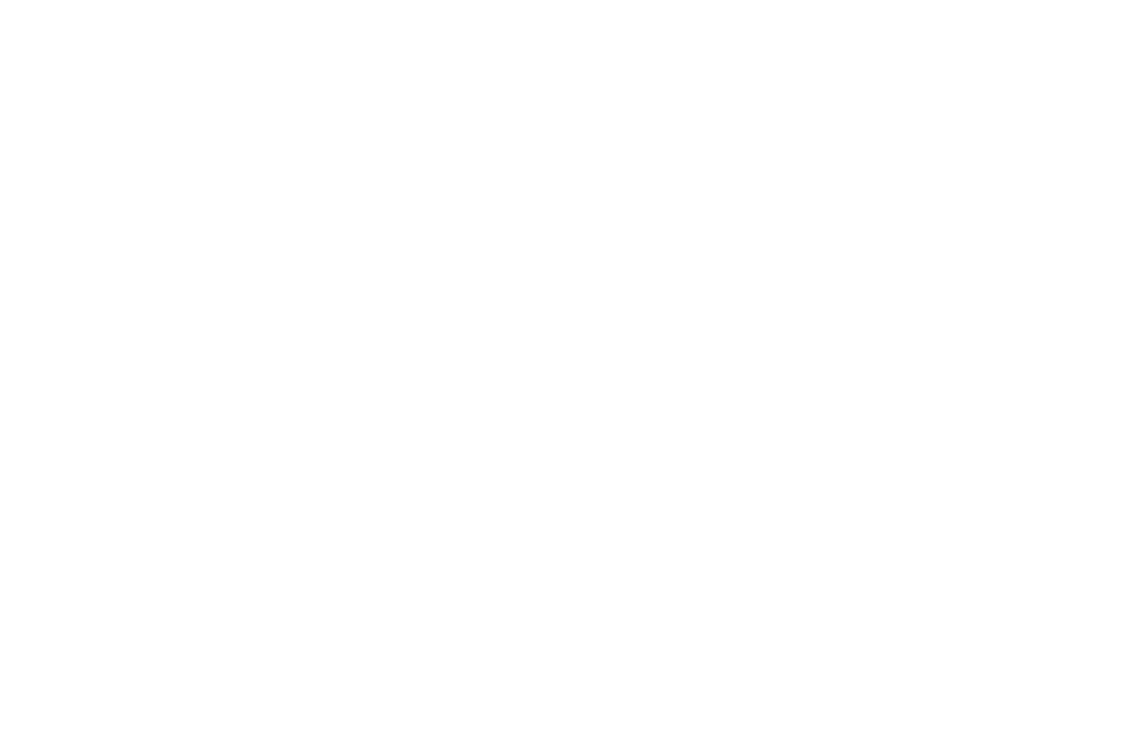 wire-logo-white-1